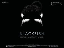 blackfish documentary orca killer whale