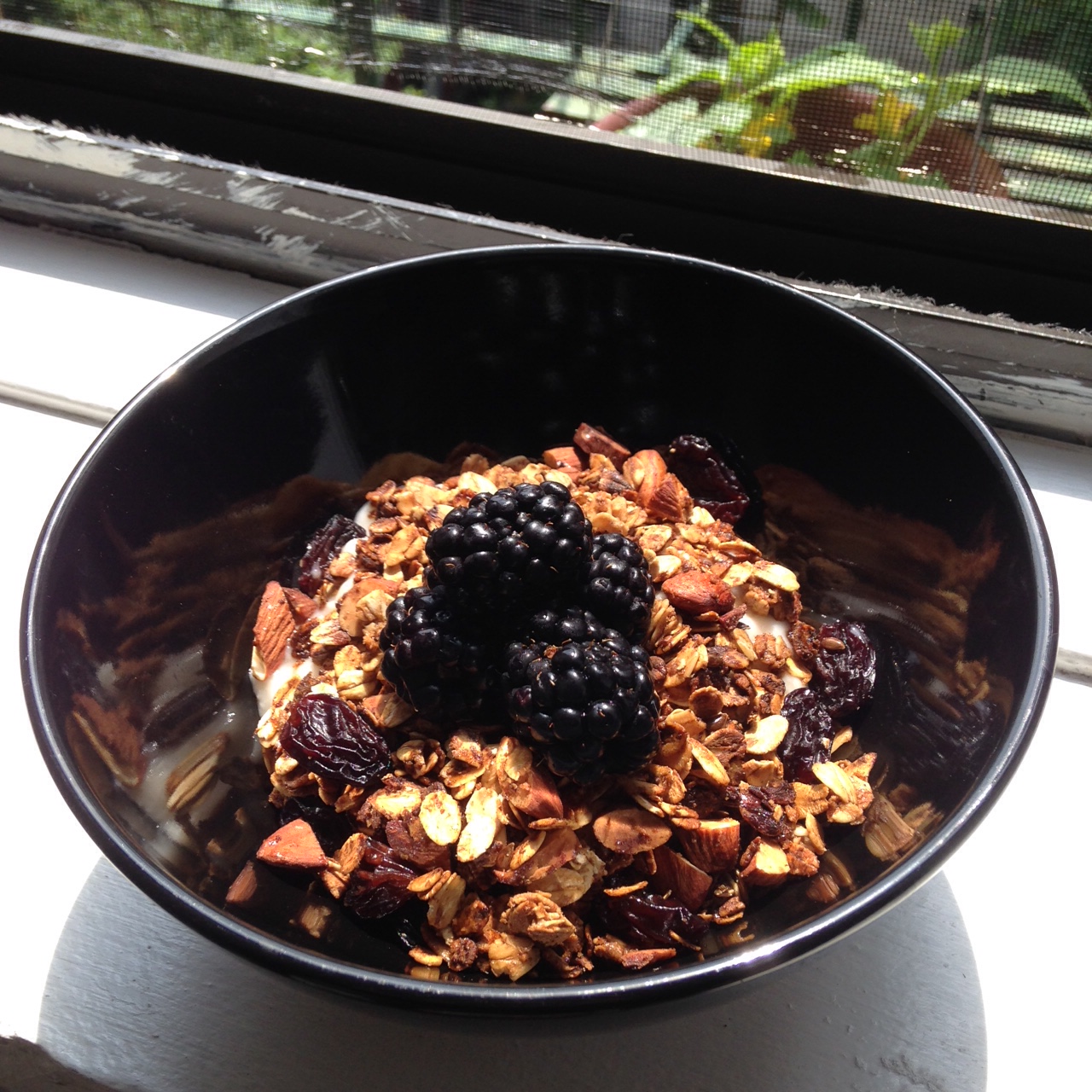 Vegan Maple Pecan Granola Recipe