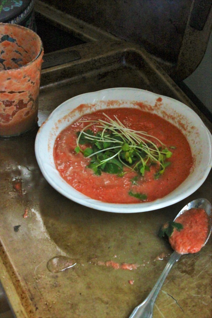 high-protein-gazpacho