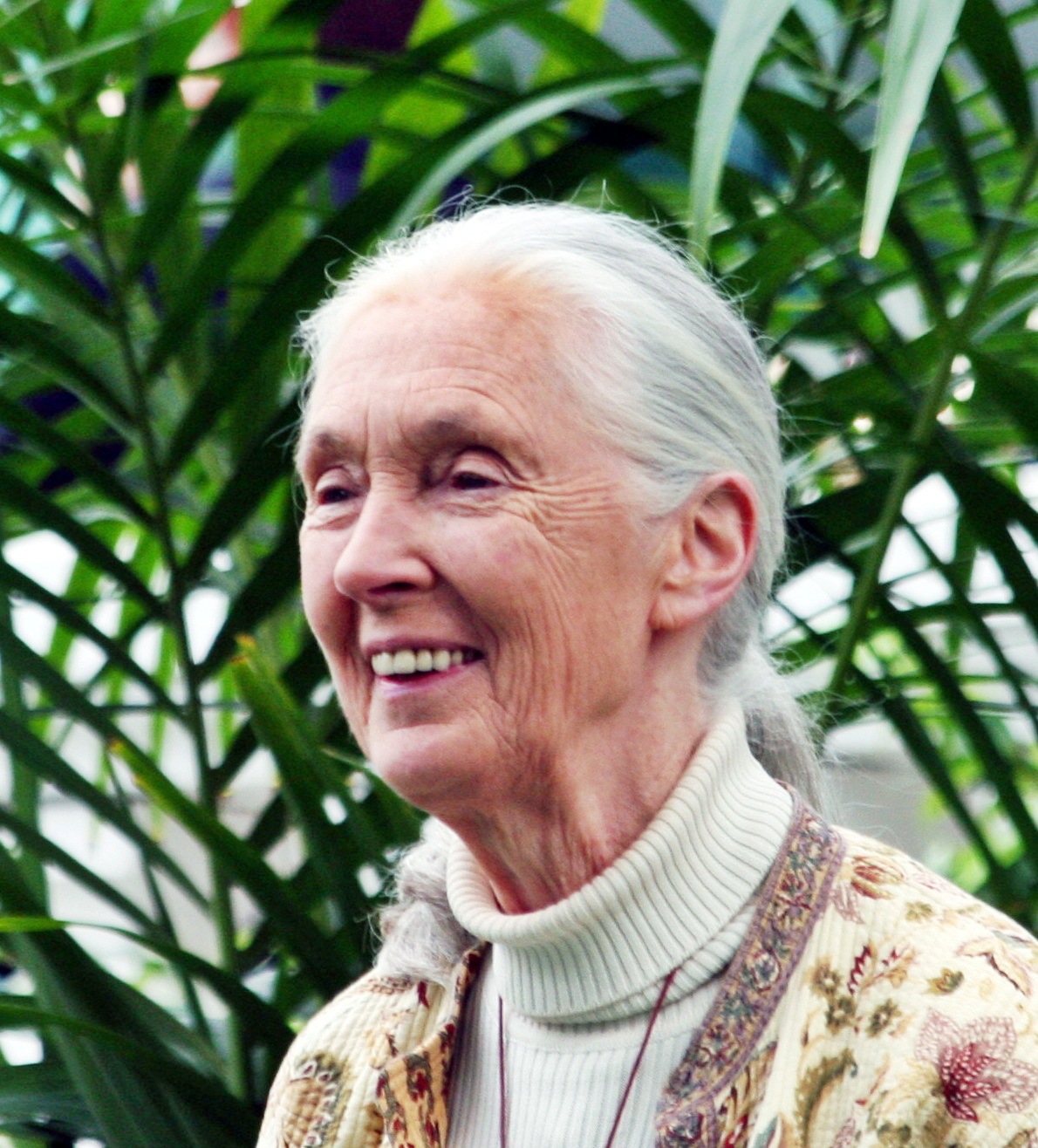 Inspirational Figures: Jane Goodall | Peaceful Dumpling