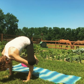 bakasana_yoga