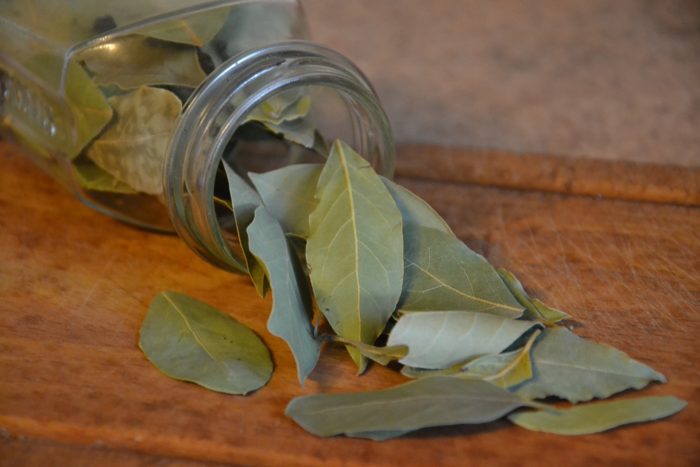 10 Natural (& Completely Harmless) Herbal Repellents That Keep Bugs & Rodents Away