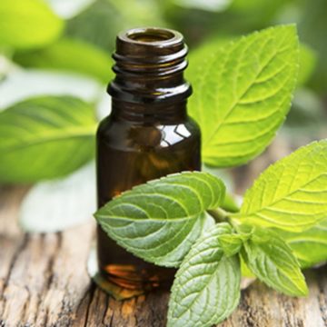 peppermint essential oil