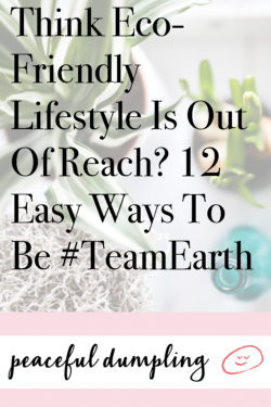 Think Eco-Friendly Lifestyle Is Out Of Reach? 12 Easy Ways To Be #TeamEarth