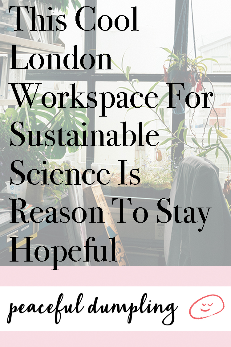 This Cool London Workspace For Sustainable Science Is Reason To Stay Hopeful