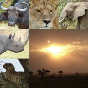 Big Five and Sunset