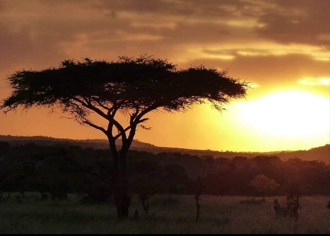 Serengeti Sunset