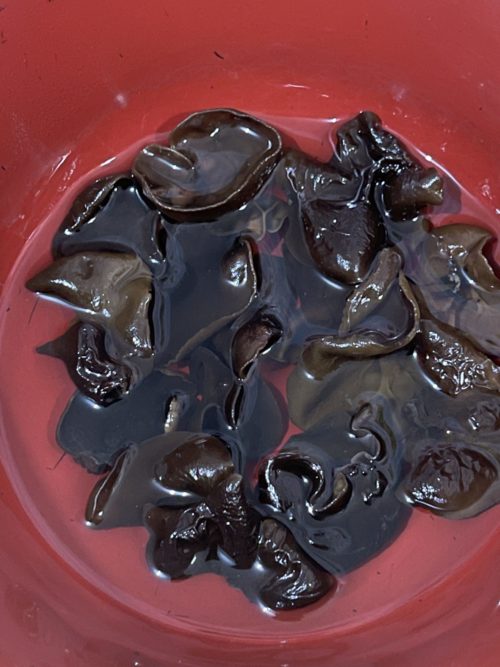 hydrating wood fungus in a red bowl