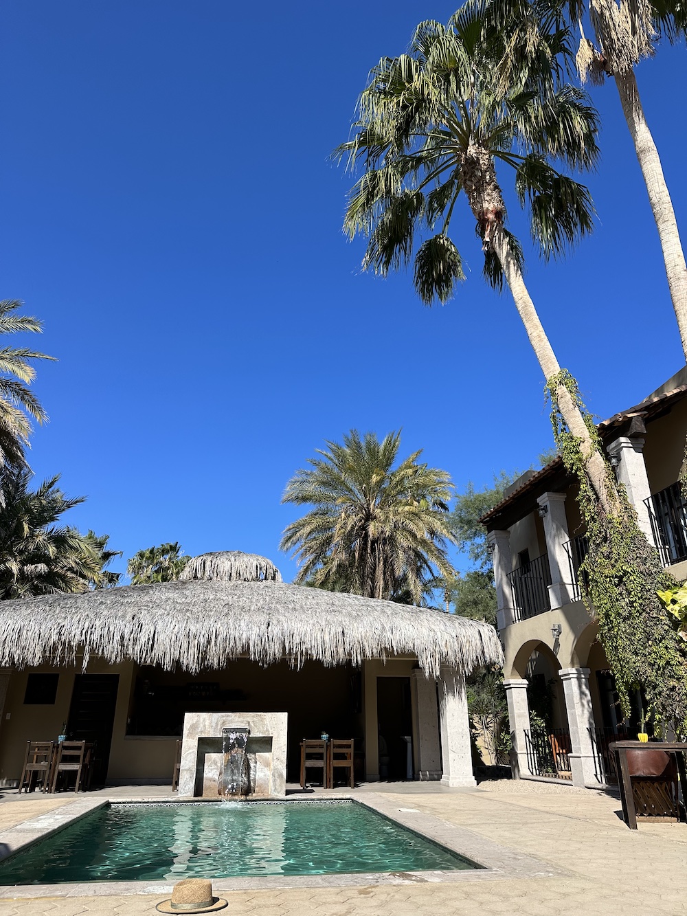 Hotel 1697 in Loreto courtyard with a swimming pool and palm trees.